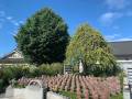 LINE_ALBUM_開栄寺樹木葬_250219_7